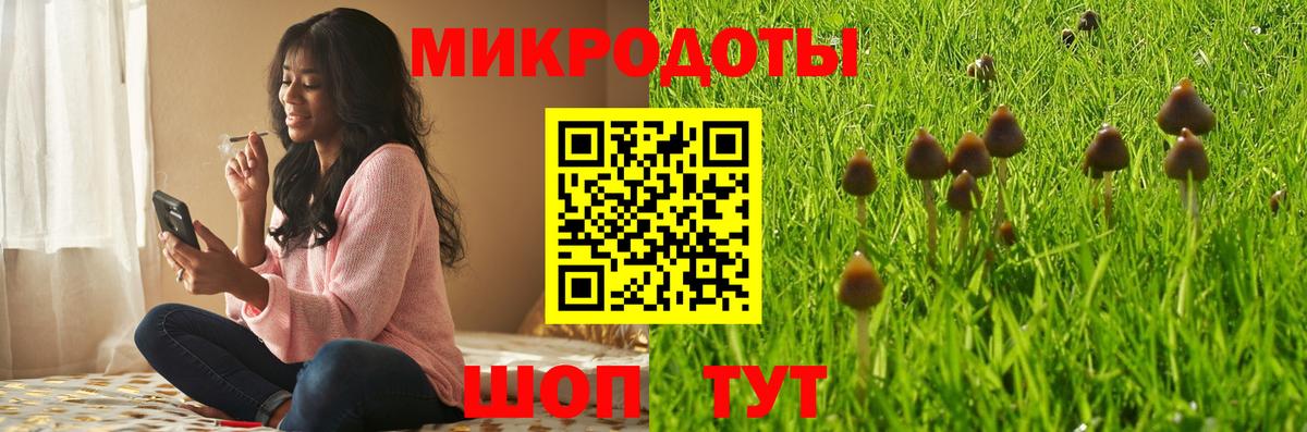 Галлюциногенные грибы ЛСД Кириши
