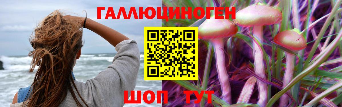 Кириши  Псилоцибиновые грибы Magic Shrooms  Псилоцибиновые грибы Psilocybe  Вход с VPN 